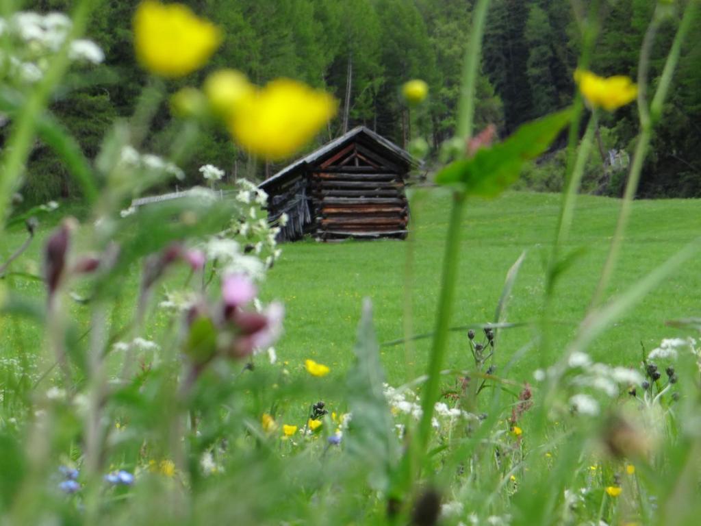 Hotel Silvretta Serfaus Εξωτερικό φωτογραφία